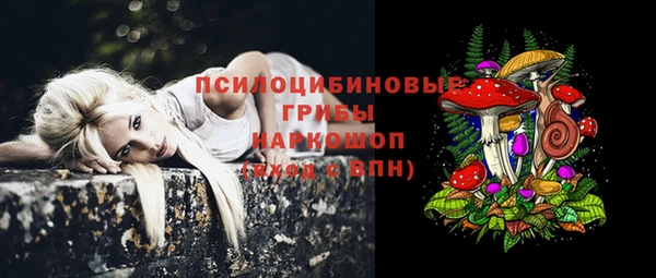 прущие крисы Аркадак