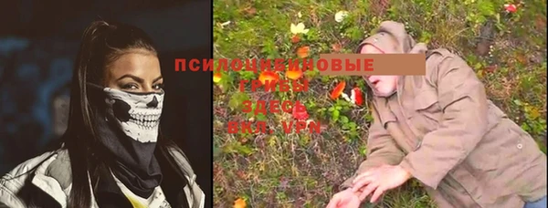 прущие крисы Аркадак
