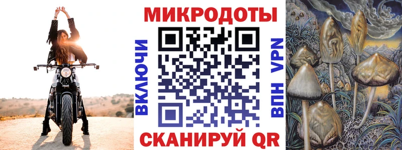 Галлюциногенные грибы прущие грибы  Павлово 